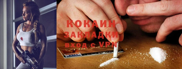 соль ск Арсеньев