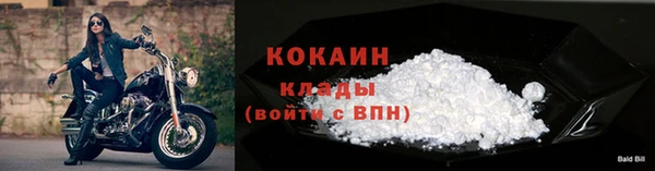соль ск Арсеньев