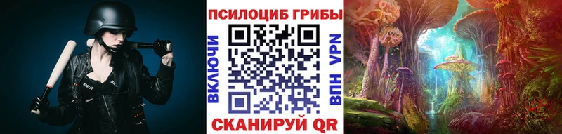 МЕГА как войти  darknet наркотические препараты  Галлюциногенные грибы Psilocybine cubensis  купить наркотики цена  Горняк 