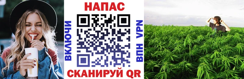 Конопля планчик  цена наркотик  Горняк 
